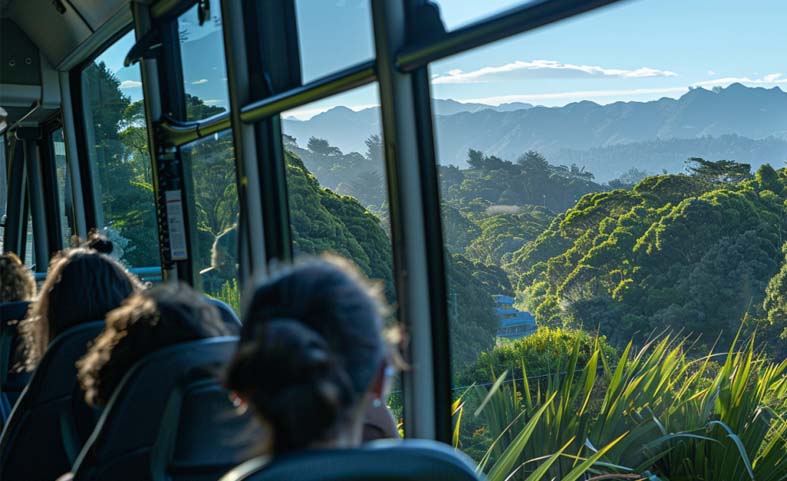 Scenic view of Auckland's Waitakere Ranges seen from the comfort of our premium bus service.